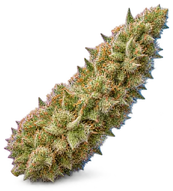 AI-generated illustration of a cannabis flower for the Lime Marshmallow page, not a photo of the strain