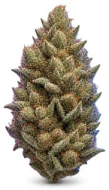 AI-generated illustration of a cannabis flower for the Limonada page, not a photo of the strain