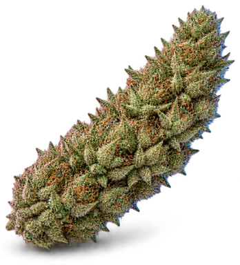 AI-generated illustration of a cannabis flower for the Lip Smackers page, not a photo of the strain