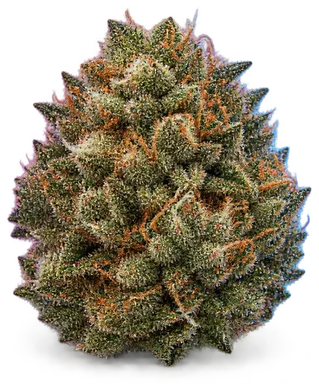 AI-generated illustration of a cannabis flower for the Lit Red Sangria page, not a photo of the strain