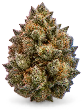 AI-generated illustration of a cannabis flower for the Live Fire page, not a photo of the strain