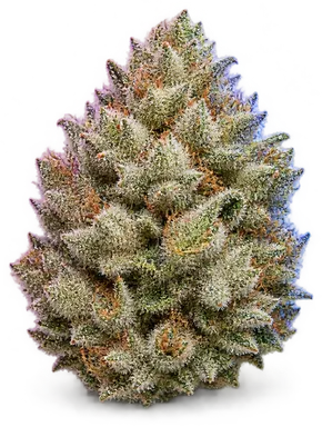 AI-generated illustration of a cannabis flower for the London Pound Cake page, not a photo of the strain