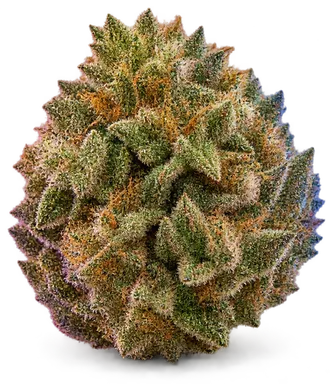 AI-generated illustration of a cannabis flower for the L'orange page, not a photo of the strain