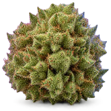 AI-generated illustration of a cannabis flower for the Lord Pineapple page, not a photo of the strain