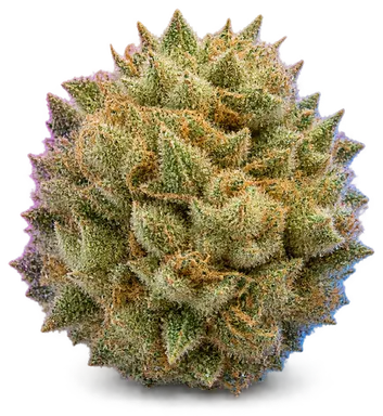 AI-generated illustration of a cannabis flower for the Los Muertos page, not a photo of the strain