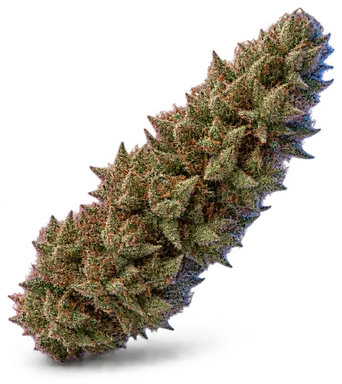 AI-generated illustration of a cannabis flower for the Louis Fruitton page, not a photo of the strain
