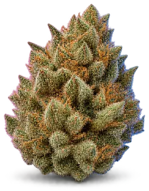AI-generated illustration of a cannabis flower for the Louis Vlll page, not a photo of the strain