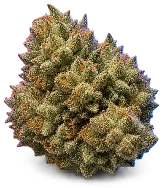 AI-generated illustration of a cannabis flower for the Love Triangle page, not a photo of the strain