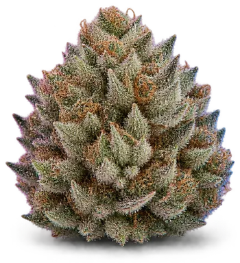 AI-generated illustration of a cannabis flower for the Lucy Diamond page, not a photo of the strain