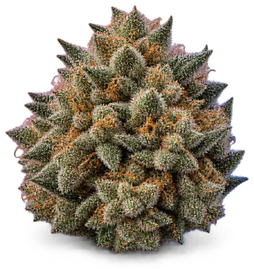 AI-generated illustration of a cannabis flower for the Lv Kush Cake page, not a photo of the strain