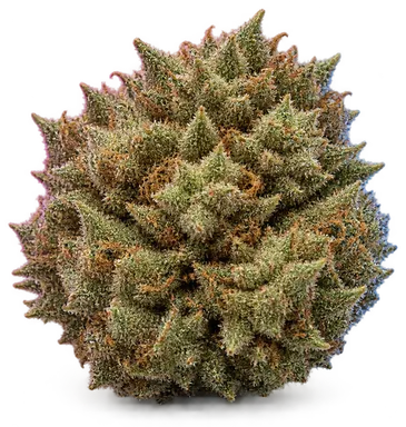AI-generated illustration of a cannabis flower for the MAC 1 page, not a photo of the strain