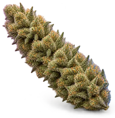 AI-generated illustration of a cannabis flower for the MAC Geez page, not a photo of the strain