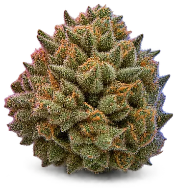 AI-generated illustration of a cannabis flower for the MAC Lab Lest page, not a photo of the strain