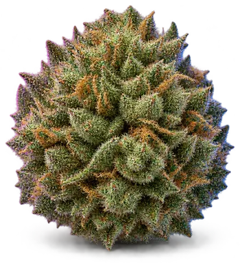 AI-generated illustration of a cannabis flower for the MAC Miracle Alien Cookies page, not a photo of the strain