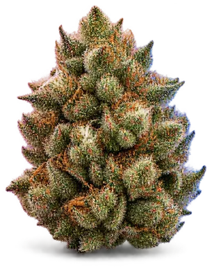 AI-generated illustration of a cannabis flower for the Mai Tai page, not a photo of the strain