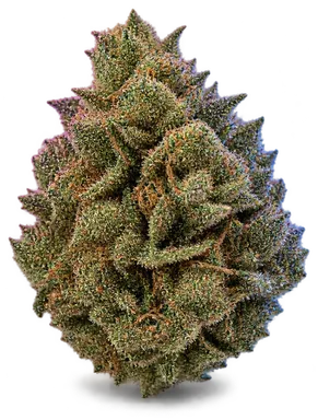 AI-generated illustration of a cannabis flower for the Mandarin Cookies page, not a photo of the strain