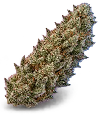 AI-generated illustration of a cannabis flower for the Mandarin Jack page, not a photo of the strain
