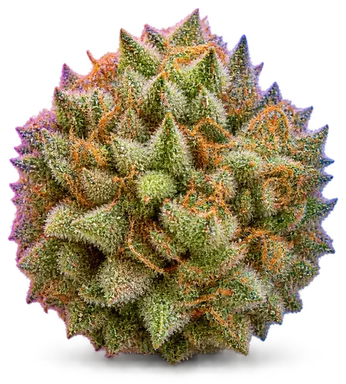 AI-generated illustration of a cannabis flower for the Mandarin Mints page, not a photo of the strain