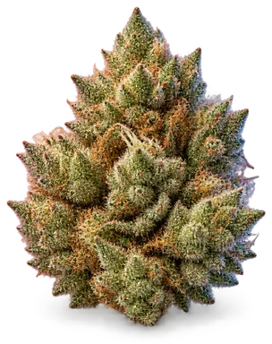 AI-generated illustration of a cannabis flower for the Mandarin Sunset page, not a photo of the strain
