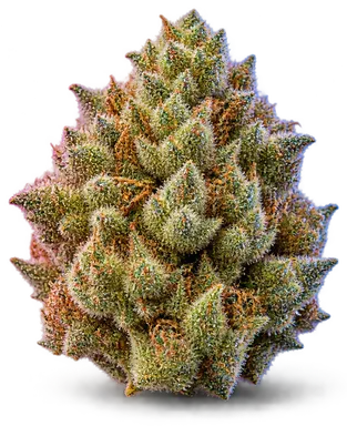 AI-generated illustration of a cannabis flower for the Mango Kush page, not a photo of the strain