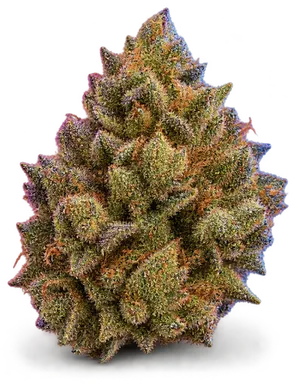 AI-generated illustration of a cannabis flower for the Mangolicious page, not a photo of the strain