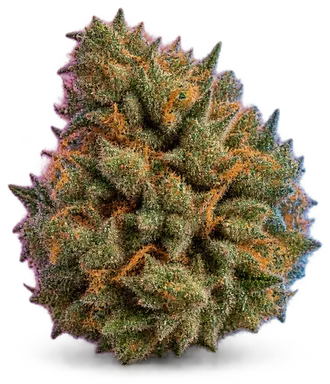 AI-generated illustration of a cannabis flower for the Marilyn Monroe page, not a photo of the strain