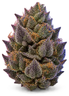 AI-generated illustration of a cannabis flower for the Marionberry Kush page, not a photo of the strain