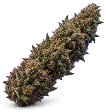 AI-generated illustration of a cannabis flower for the Marshmallow OG page, not a photo of the strain