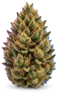 AI-generated illustration of a cannabis flower for the Martian Monkey page, not a photo of the strain