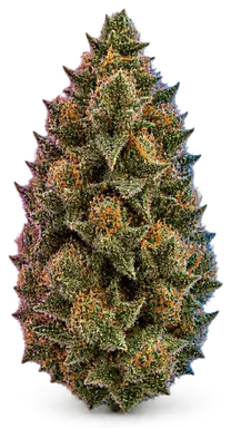 AI-generated illustration of a cannabis flower for the Master Kush page, not a photo of the strain