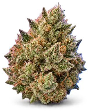 AI-generated illustration of a cannabis flower for the Meat Breath page, not a photo of the strain