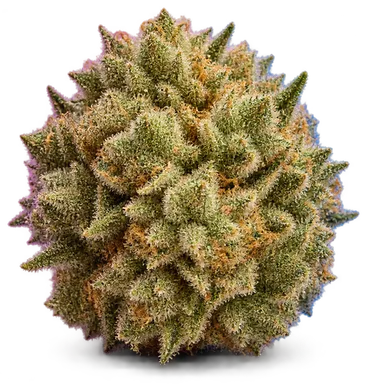 AI-generated illustration of a cannabis flower for the Medijuana page, not a photo of the strain