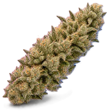 AI-generated illustration of a cannabis flower for the Melon Stomper 4 page, not a photo of the strain