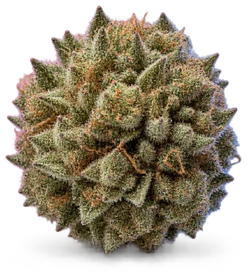 AI-generated illustration of a cannabis flower for the Mendo page, not a photo of the strain