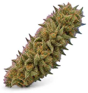 AI-generated illustration of a cannabis flower for the Mendo Mystic page, not a photo of the strain