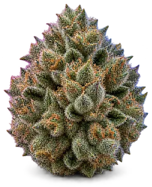 AI-generated illustration of a cannabis flower for the Mother's Milk page, not a photo of the strain