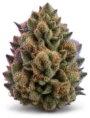 AI-generated illustration of a cannabis flower for the Milk Cookies page, not a photo of the strain