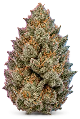 AI-generated illustration of a cannabis flower for the Minntz page, not a photo of the strain