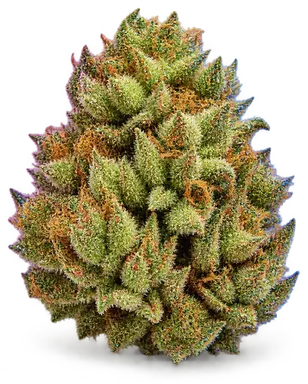 AI-generated illustration of a cannabis flower for the Mint Oreoz page, not a photo of the strain