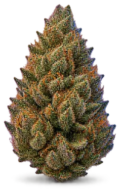 AI-generated illustration of a cannabis flower for the Miracle Glue page, not a photo of the strain
