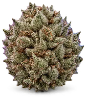 AI-generated illustration of a cannabis flower for the Miracle Whip page, not a photo of the strain