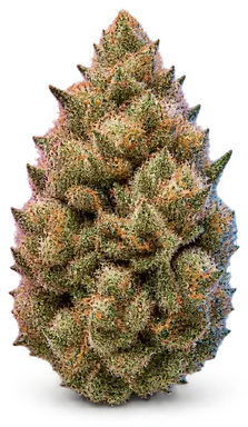 AI-generated illustration of a cannabis flower for the Mk Ultra page, not a photo of the strain