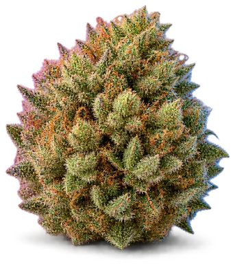 AI-generated illustration of a cannabis flower for the Mochi page, not a photo of the strain