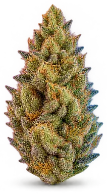AI-generated illustration of a cannabis flower for the Modified Banana page, not a photo of the strain