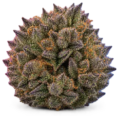 AI-generated illustration of a cannabis flower for the Modified Grapes page, not a photo of the strain