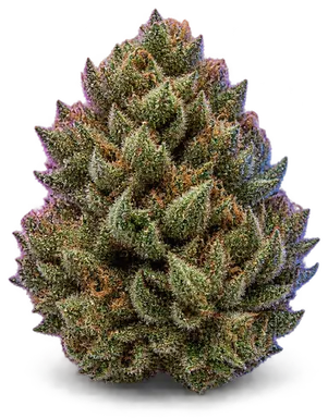 AI-generated illustration of a cannabis flower for the Monavie page, not a photo of the strain