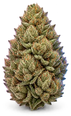 AI-generated illustration of a cannabis flower for the Monkey Tape page, not a photo of the strain