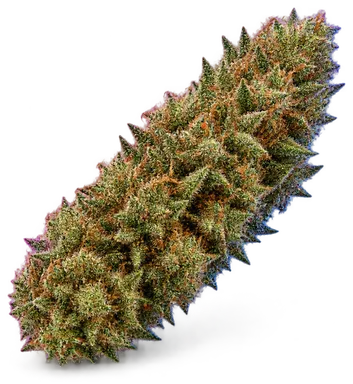 AI-generated illustration of a cannabis flower for the Moonbow page, not a photo of the strain