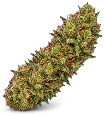 AI-generated illustration of a cannabis flower for the Moonshine Haze page, not a photo of the strain