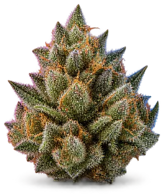 AI-generated illustration of a cannabis flower for the Motorhead page, not a photo of the strain